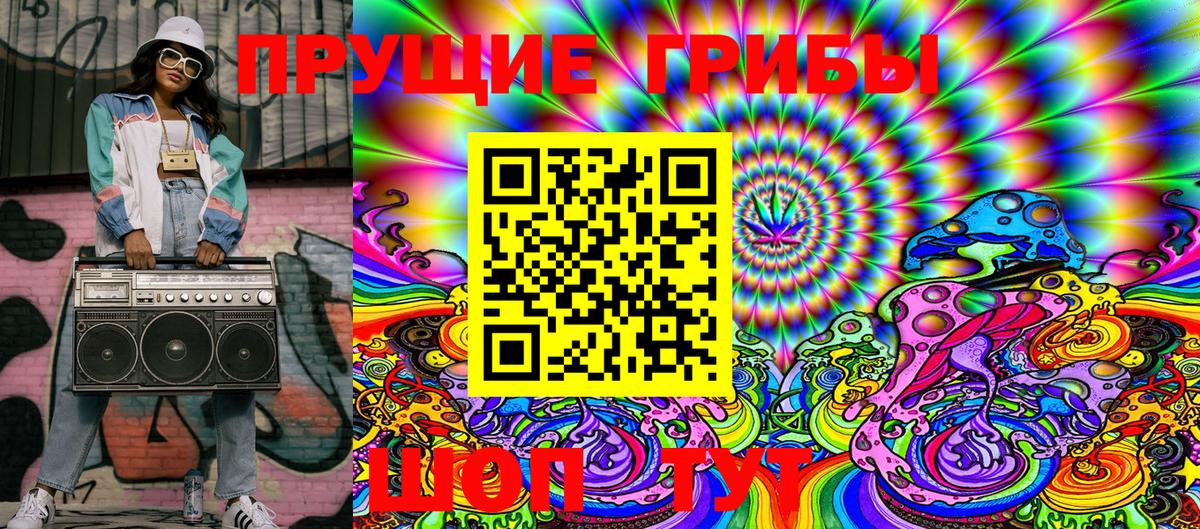 Псилоцибиновые грибы MAGIC MUSHROOMS  закладка  Вязьма  Вход с VPN 